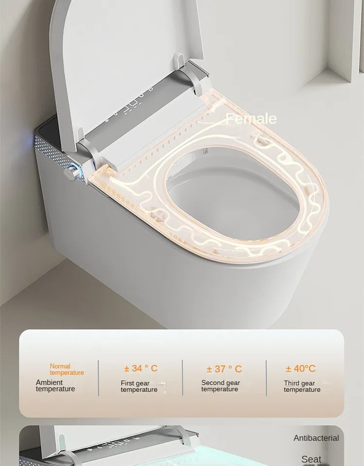Smart Wall-Mounted Floating Toilet