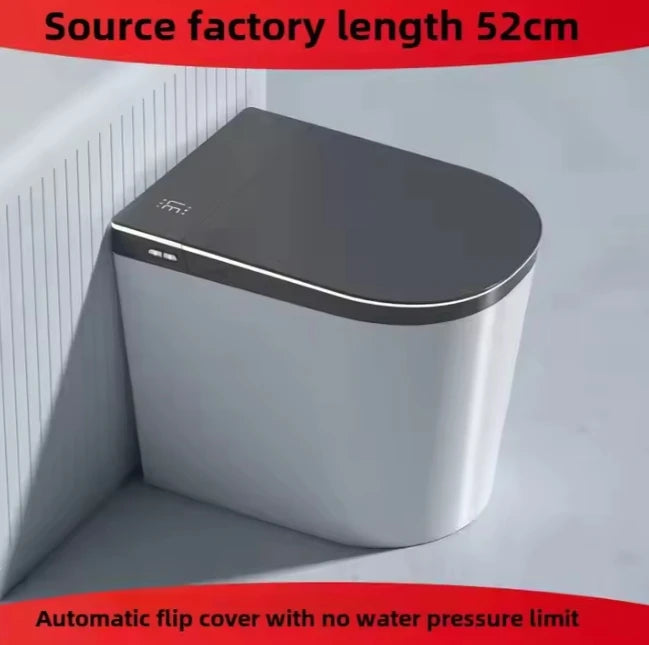 Remote-Controlled Ceramic Smart Toilet